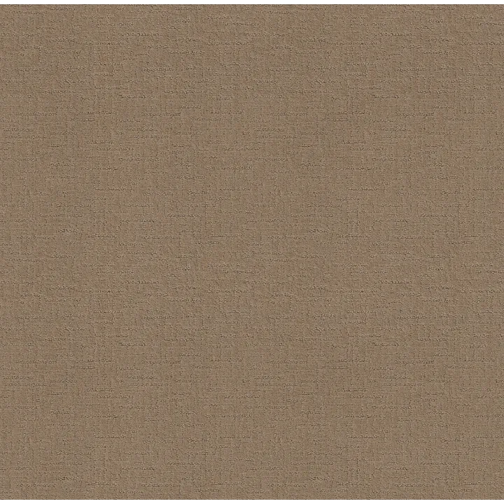 Shaw Floors One More Hour — Desert Sand · ZZ233-00124 — flooring selection with LeviArs Design & Remodeling