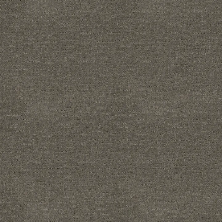 Shaw Floors One More Hour — Legendary · ZZ233-00528 — flooring selection with LeviArs Design & Remodeling