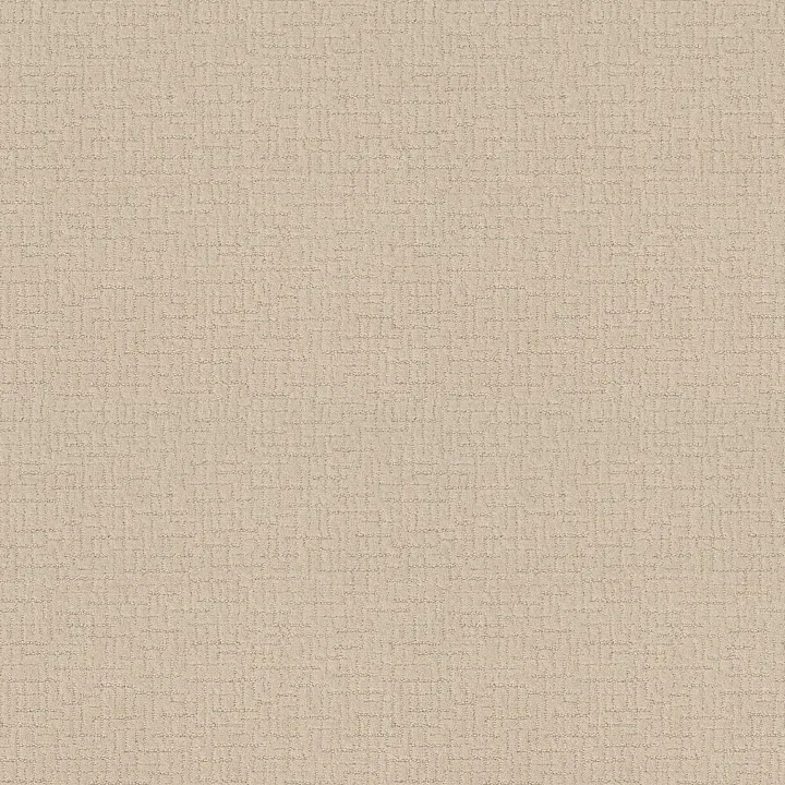 Shaw Floors One More Hour — Linen · ZZ233-00120 — flooring selection with LeviArs Design & Remodeling