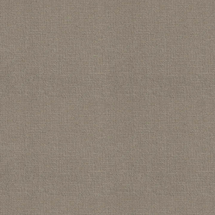Shaw Floors One More Hour — Moonrock · ZZ233-00515 — flooring selection with LeviArs Design & Remodeling