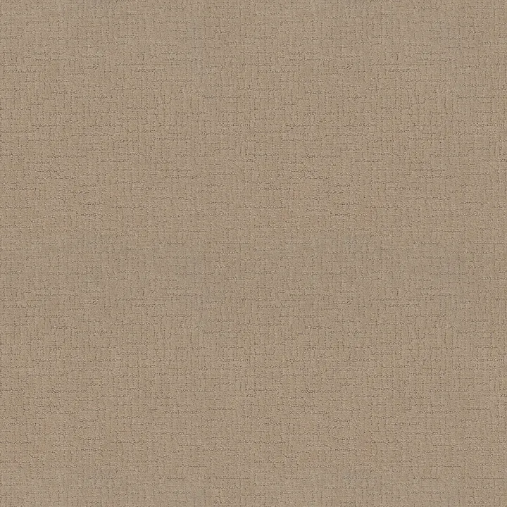 Shaw Floors One More Hour — Muslin · ZZ233-00122 — flooring selection with LeviArs Design & Remodeling