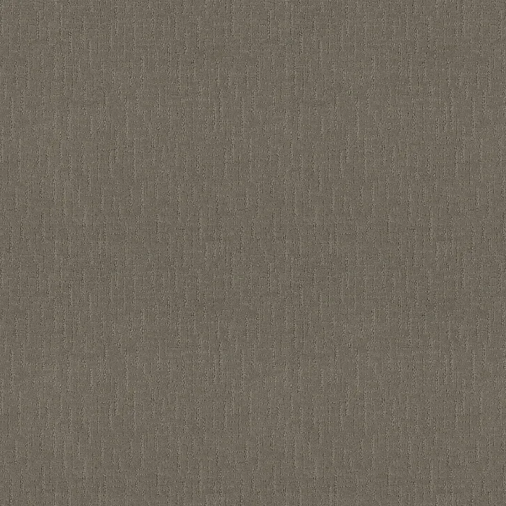 Shaw Floors One More Hour — Silver Spoon · ZZ233-00525 — flooring selection with LeviArs Design & Remodeling