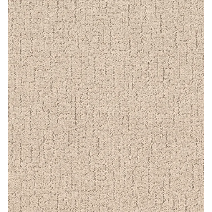 Shaw Floors One More Hour — Soft Ivory · ZZ233-00110 — flooring selection with LeviArs Design & Remodeling
