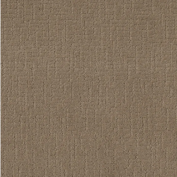 Shaw Floors One More Hour — Stucco Tan · ZZ233-00723 — flooring selection with LeviArs Design & Remodeling