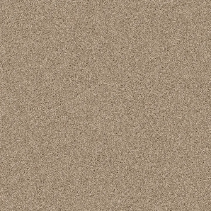Shaw Floors One Over All — Aura · E0120-00104 — flooring selection with LeviArs Design & Remodeling