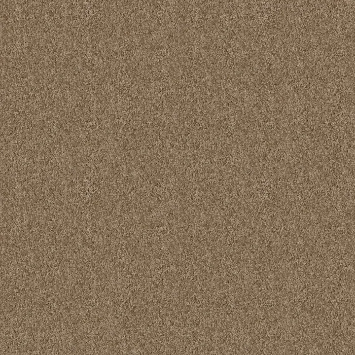 Shaw Floors One Over All — Sierra Hills · E0120-00702 — flooring selection with LeviArs Design & Remodeling
