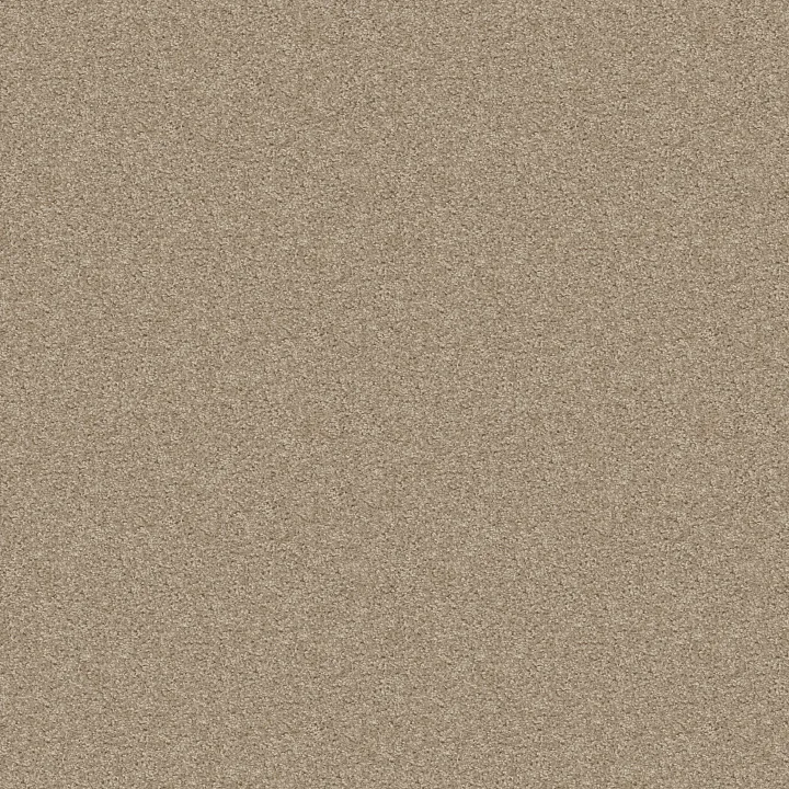 Shaw Floors One Over All — Stratosphere · E0120-00103 — flooring selection with LeviArs Design & Remodeling