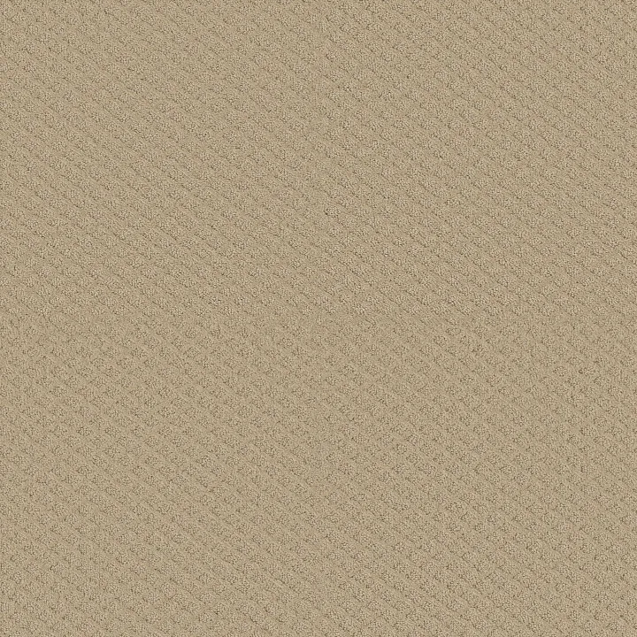 Shaw Floors Westbay — Dunes · 52V46-00102 — flooring selection with LeviArs Design & Remodeling