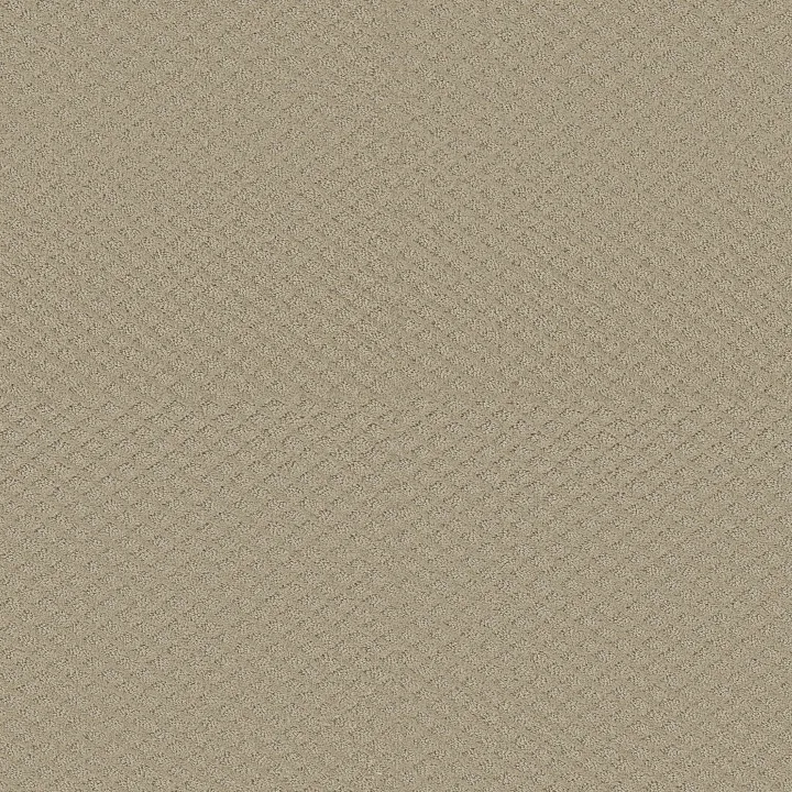 Shaw Floors Westbay — Frost · 52V46-00104 — flooring selection with LeviArs Design & Remodeling