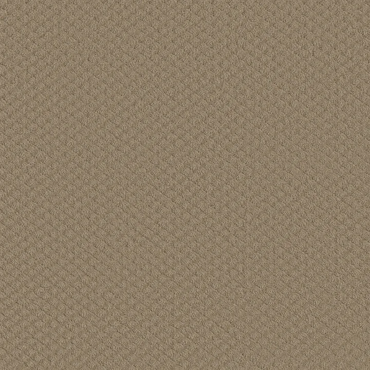 Shaw Floors Westbay — Mushroom · 52V46-00703 — flooring selection with LeviArs Design & Remodeling