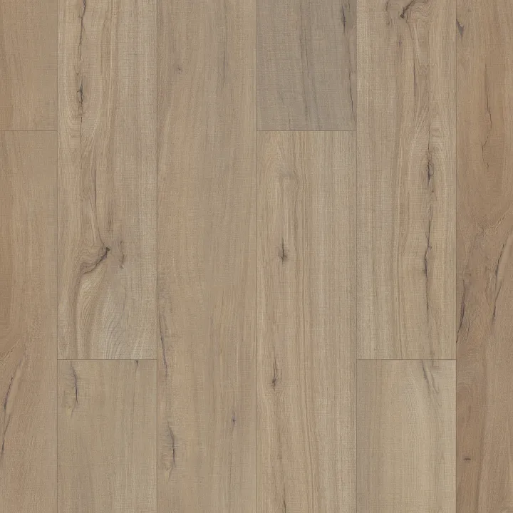 Shaw Floors Paladin Plus — Driftwood · 0278V-01056 — flooring selection with LeviArs Design & Remodeling