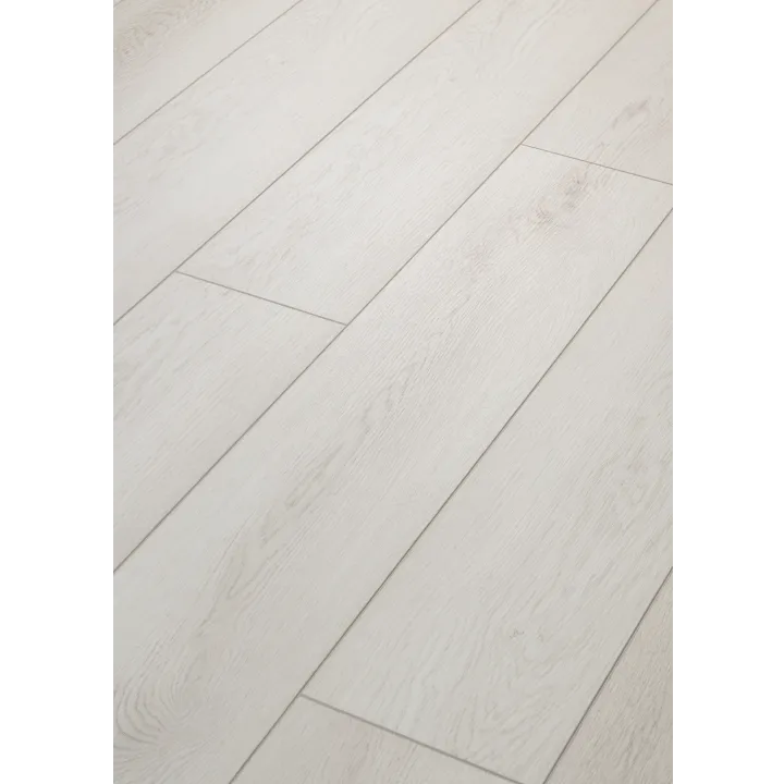 Shaw Floors Paladin Plus — Feather Grey · 0278V-01178 — flooring selection with LeviArs Design & Remodeling