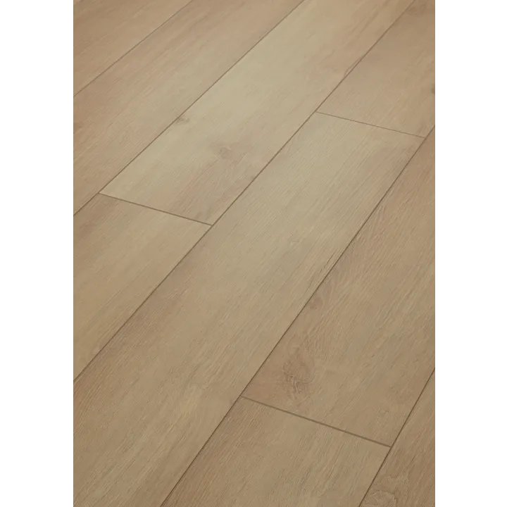 Shaw Floors Paladin Plus — Marina · 0278V-02014 — flooring selection with LeviArs Design & Remodeling
