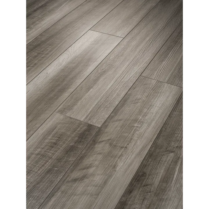 Shaw Floors Paladin Plus — Oyster Oak · 0278V-00591 — flooring selection with LeviArs Design & Remodeling