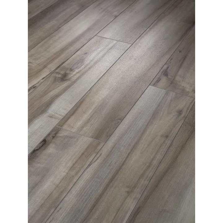 Shaw Floors Paladin Plus — Sea Glass · 0278V-05092 — flooring selection with LeviArs Design & Remodeling