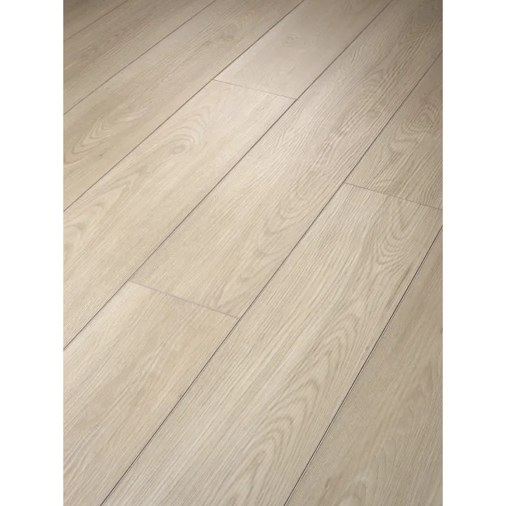 Shaw Floors Paladin Plus — Silver Dollar · 0278V-01055 — flooring selection with LeviArs Design & Remodeling