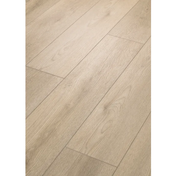 Shaw Floors Paladin Plus — Soft Beige · 0278V-02094 — flooring selection with LeviArs Design & Remodeling