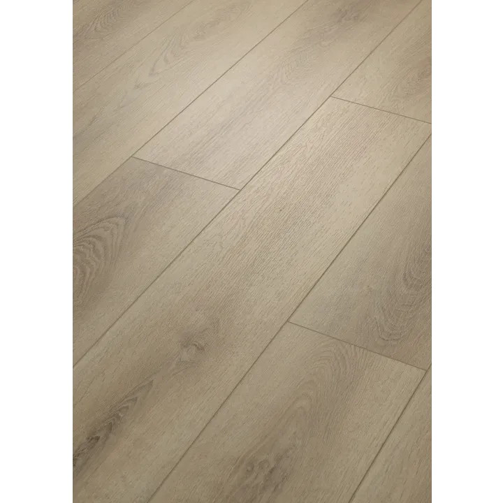 Shaw Floors Paladin Plus — Toasted Taupe · 0278V-05218 — flooring selection with LeviArs Design & Remodeling
