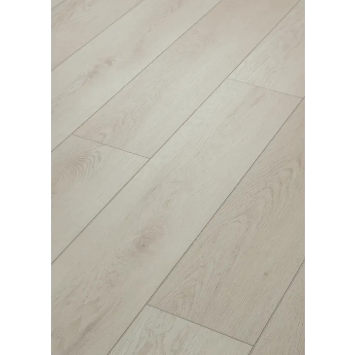 Shaw Floors Paladin Plus — Warm Grey · 0278V-05220 — flooring selection with LeviArs Design & Remodeling