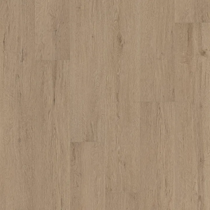 Shaw Floors Pantheon HD+ Natural Bevel — Cabet Trails · 1051V-07351 — flooring selection with LeviArs Design & Remodeling