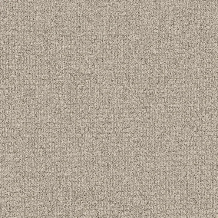 Shaw Floors Path Home — Almond Silk · 5E577-00101 — flooring selection with LeviArs Design & Remodeling