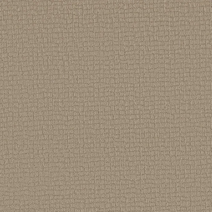 Shaw Floors Path Home — Cameo · 5E577-00113 — flooring selection with LeviArs Design & Remodeling