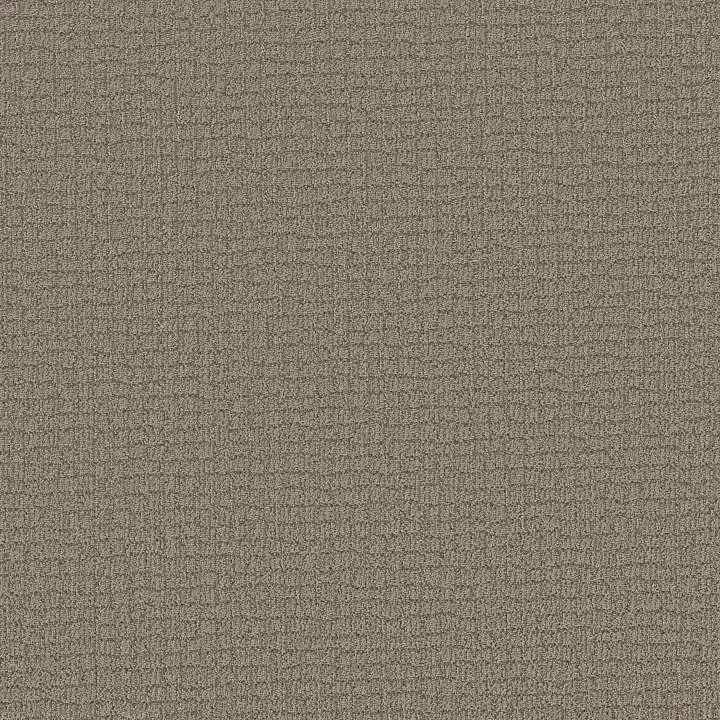 Shaw Floors Path Home — Chic Greige · 5E577-00111 — flooring selection with LeviArs Design & Remodeling