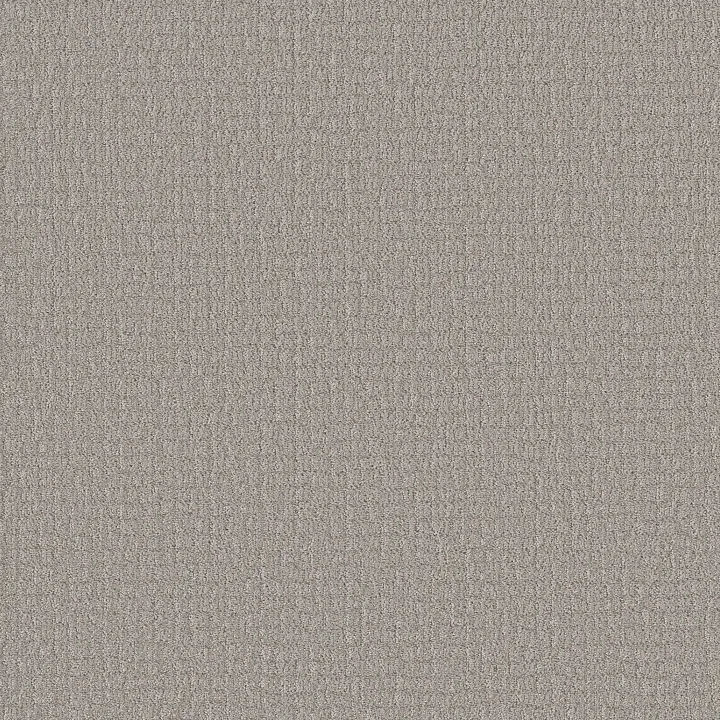 Shaw Floors Path Home — Gravity · 5E577-00556 — flooring selection with LeviArs Design & Remodeling