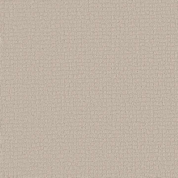 Shaw Floors Path Home — Natural · 5E577-00109 — flooring selection with LeviArs Design & Remodeling