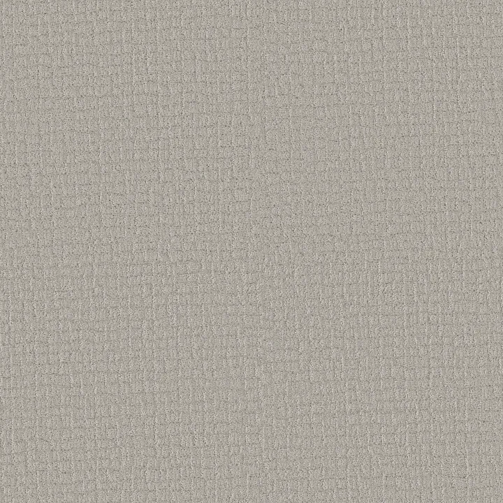 Shaw Floors Path Home — Rock Crystal · 5E577-00508 — flooring selection with LeviArs Design & Remodeling