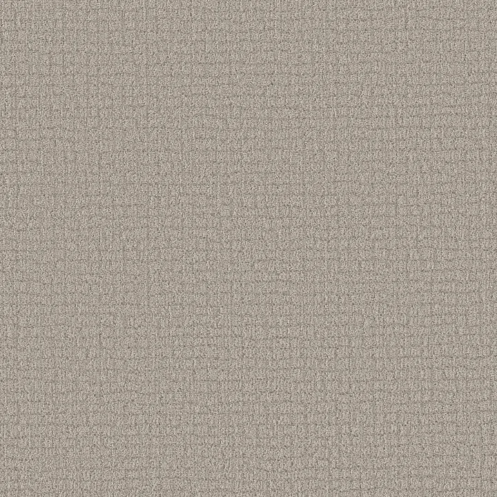 Shaw Floors Path Home — Sculpture · 5E577-00115 — flooring selection with LeviArs Design & Remodeling