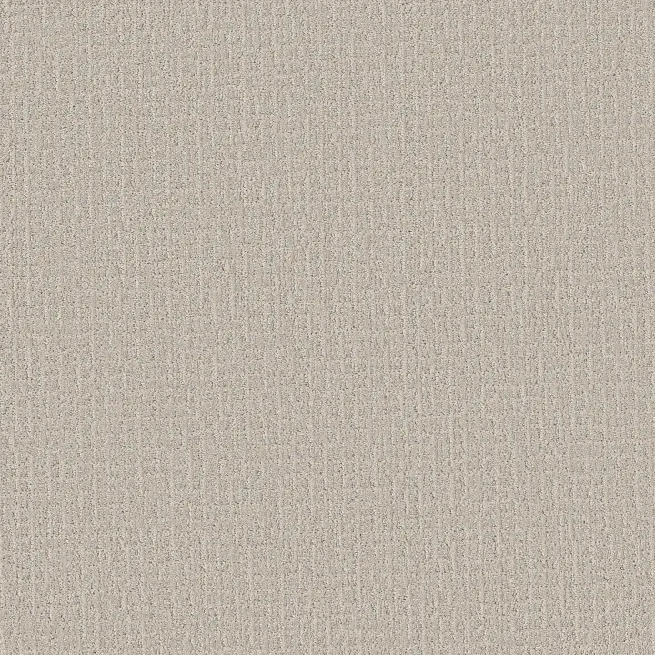 Shaw Floors Path Home — Snowfall · 5E577-00150 — flooring selection with LeviArs Design & Remodeling