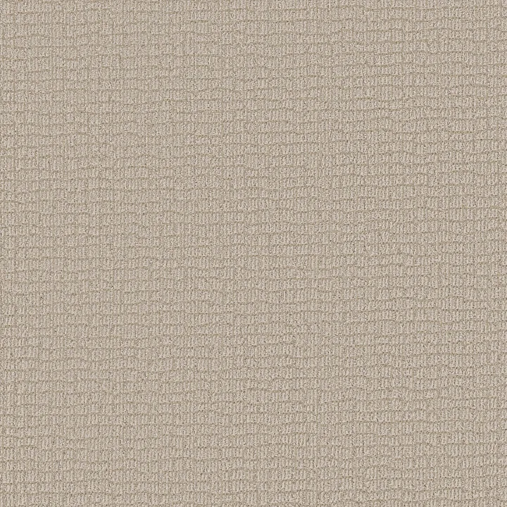 Shaw Floors Path Home — Warm Light · 5E577-00116 — flooring selection with LeviArs Design & Remodeling