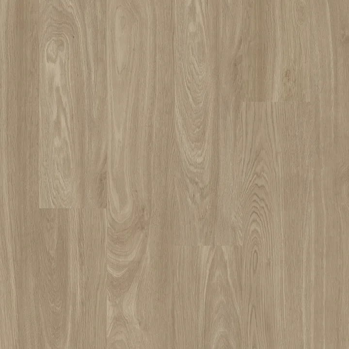 Shaw Floors Pathways 12 — Sandstone · 3553V-01218 — flooring selection with LeviArs Design & Remodeling