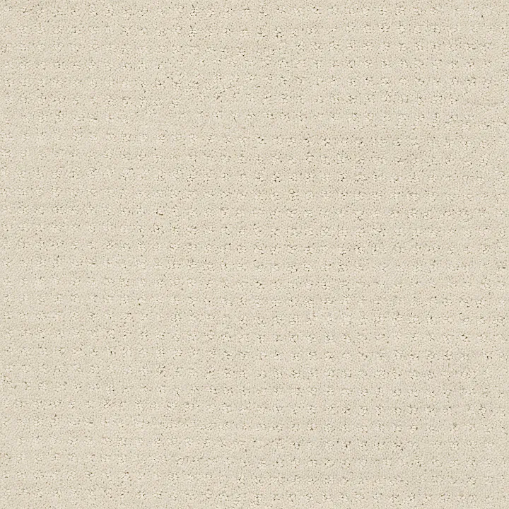 Shaw Floors Perpetual Move — Alabaster · E9723-00172 — flooring selection with LeviArs Design & Remodeling