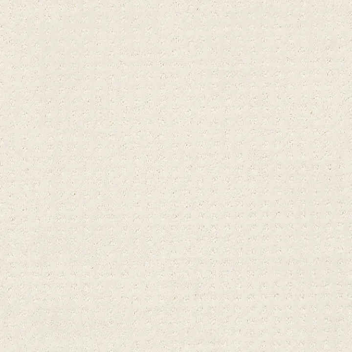 Shaw Floors Perpetual Move — Crisp Linen · E9723-00171 — flooring selection with LeviArs Design & Remodeling
