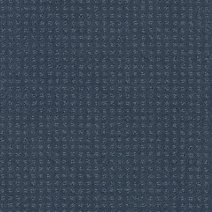 Shaw Floors Perpetual Move — Royal Navy · E9723-00470 — flooring selection with LeviArs Design & Remodeling