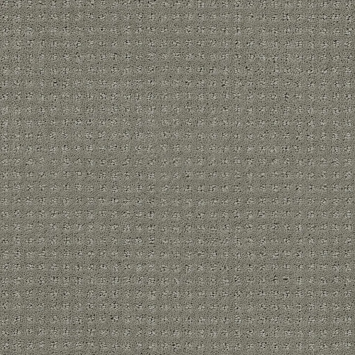 Shaw Floors Perpetual Move — Slate · E9723-00570 — flooring selection with LeviArs Design & Remodeling