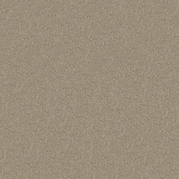 Shaw Floors Cabana Bay Solid — Shifting Sand · E9954-00105 — flooring selection with LeviArs Design & Remodeling