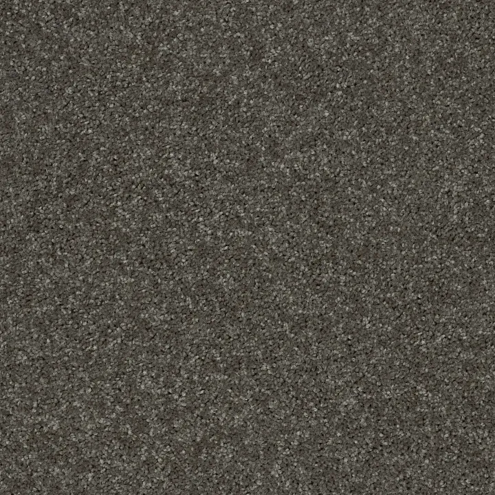 Shaw Floors Point Guard 12' — Barn Beam · Q4855-00740 — flooring selection with LeviArs Design & Remodeling