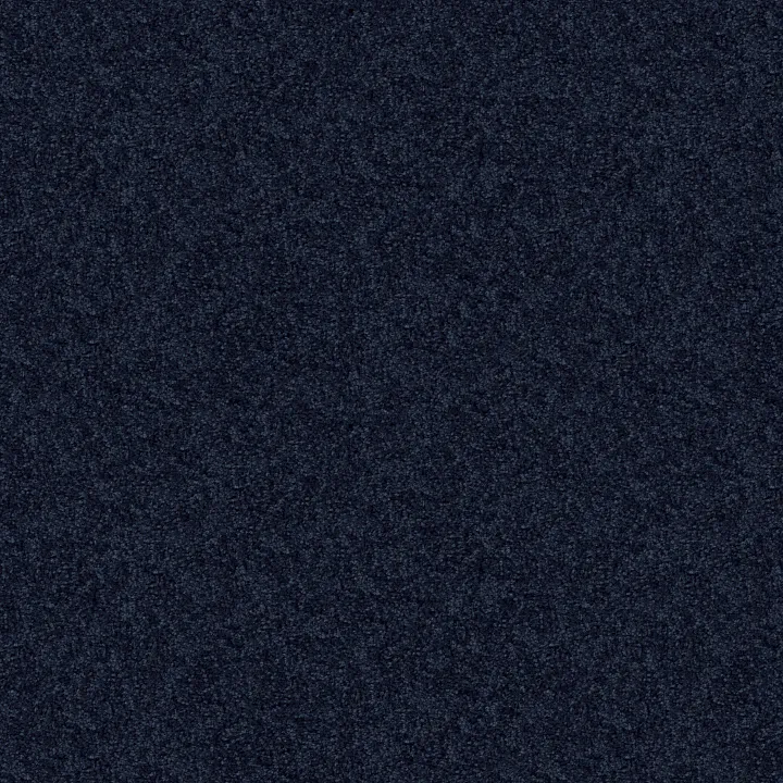 Shaw Floors Point Guard 12' — Evening Sky · Q4855-00403 — flooring selection with LeviArs Design & Remodeling