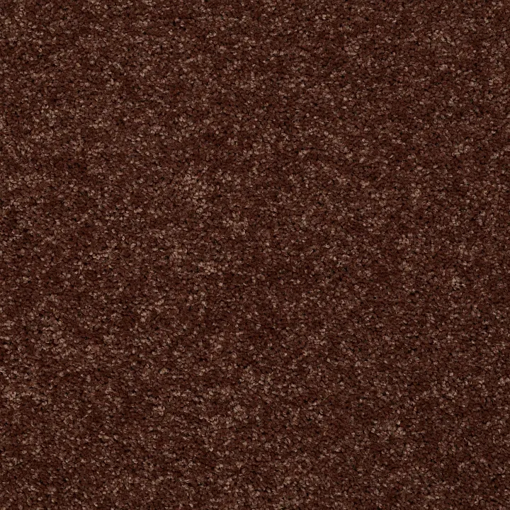 Shaw Floors Point Guard 12' — Flower Pot · Q4855-00610 — flooring selection with LeviArs Design & Remodeling