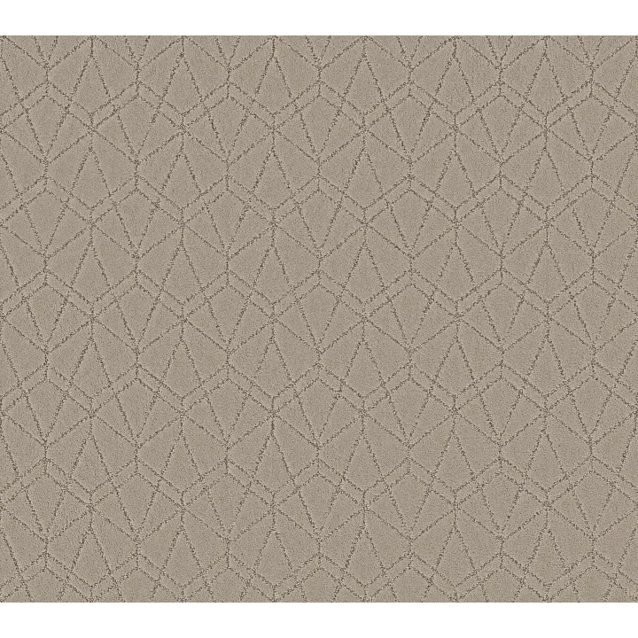 Shaw Floors Point Of View — Chic Greige · 5E695-00111 — flooring selection with LeviArs Design & Remodeling