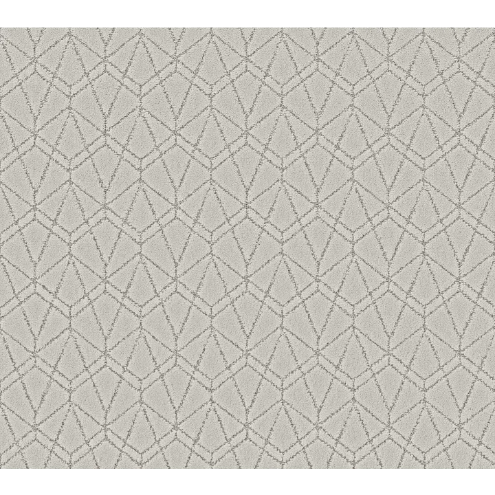 Shaw Floors Point Of View — Frozen · 5E695-00107 — flooring selection with LeviArs Design & Remodeling