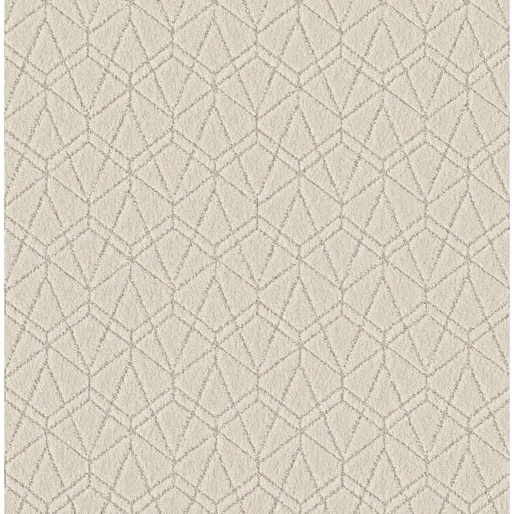 Shaw Floors Point Of View — Natural · 5E695-00109 — flooring selection with LeviArs Design & Remodeling