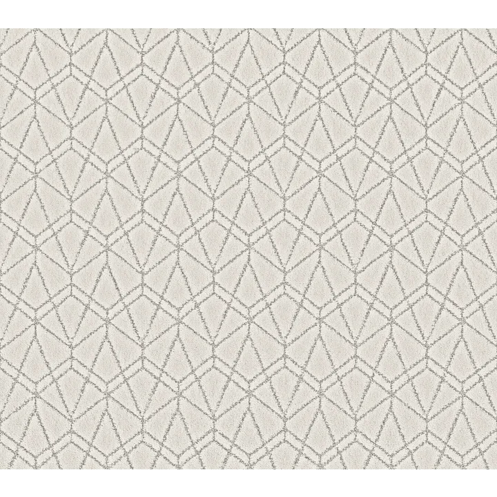 Shaw Floors Point Of View — Snowfall · 5E695-00150 — flooring selection with LeviArs Design & Remodeling