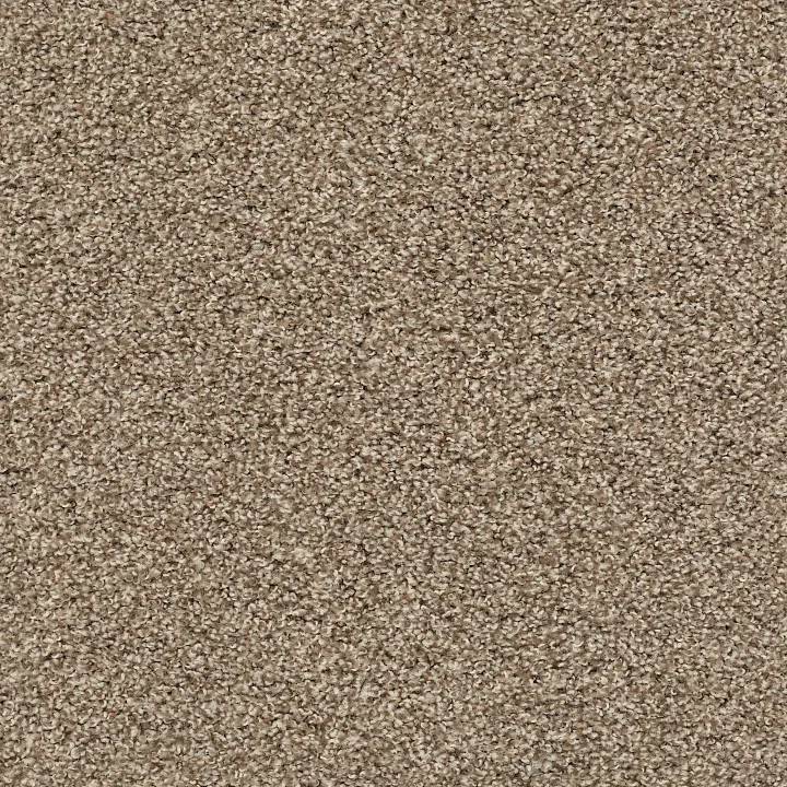 Shaw Floors Poised — Brown Sugar · 5E042-00710 — flooring selection with LeviArs Design & Remodeling