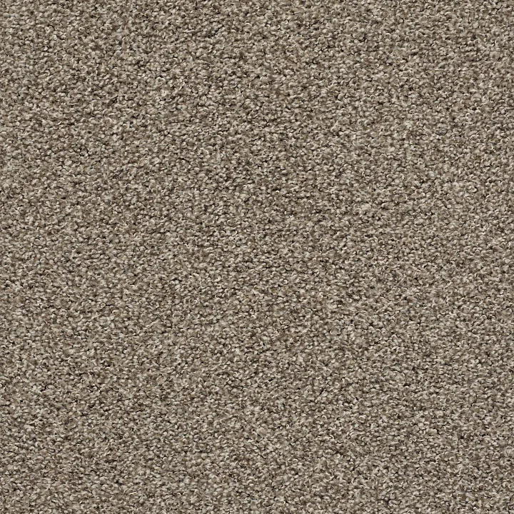Shaw Floors Poised — Chic Taupe · 5E042-00714 — flooring selection with LeviArs Design & Remodeling
