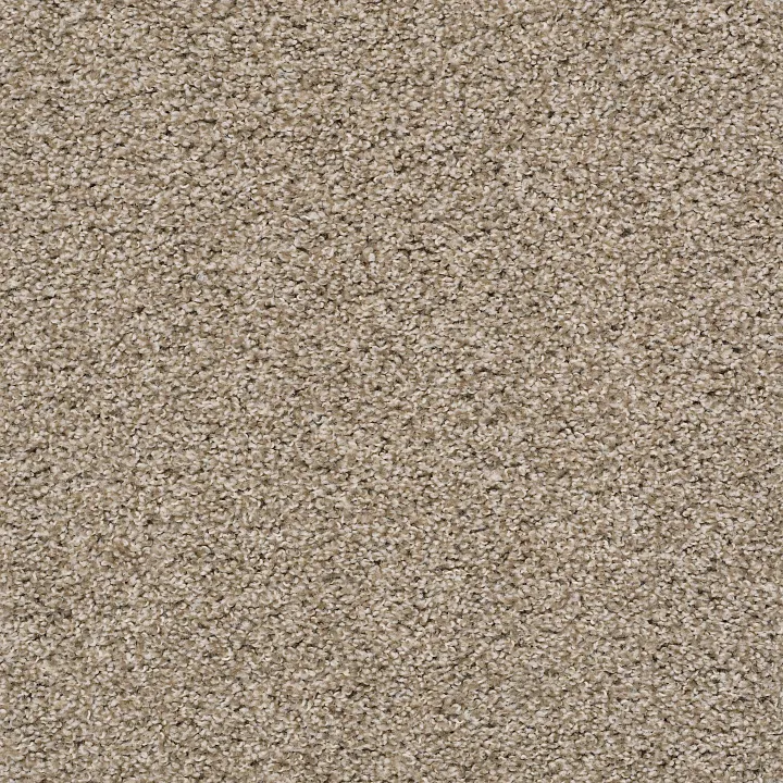 Shaw Floors Poised — Cork · 5E042-00220 — flooring selection with LeviArs Design & Remodeling