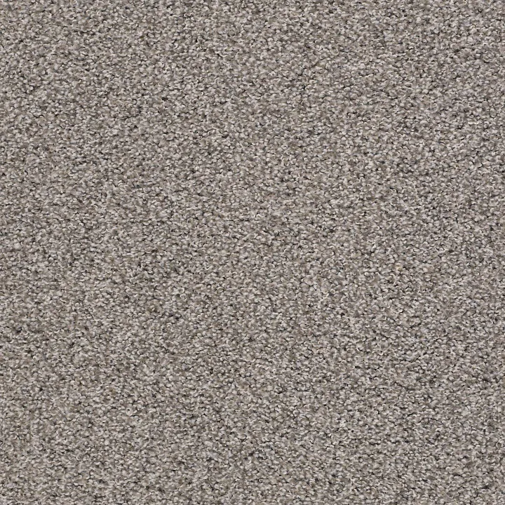 Shaw Floors Poised — Flannel Gray · 5E042-00713 — flooring selection with LeviArs Design & Remodeling